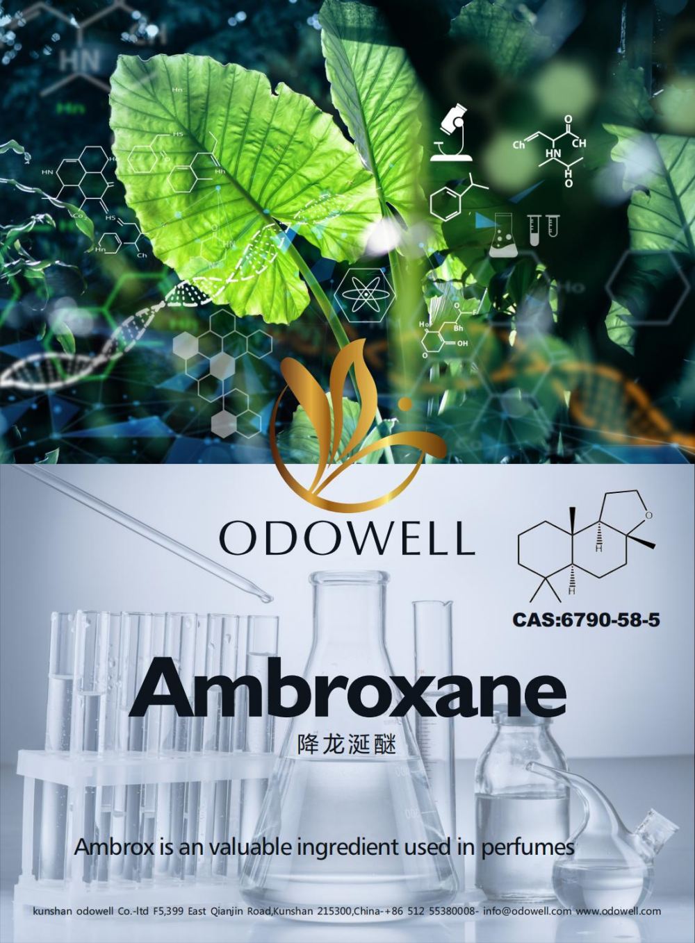 Одоуэлл празднует успешный год для амбироксана (Ambrox)
