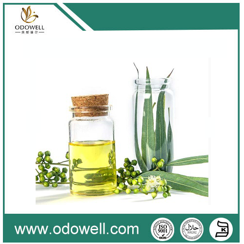 Представляем нашу премиальную эвкалиптовую масло (Eucalyptus Globulus) - natural, Authentic и Wersatile