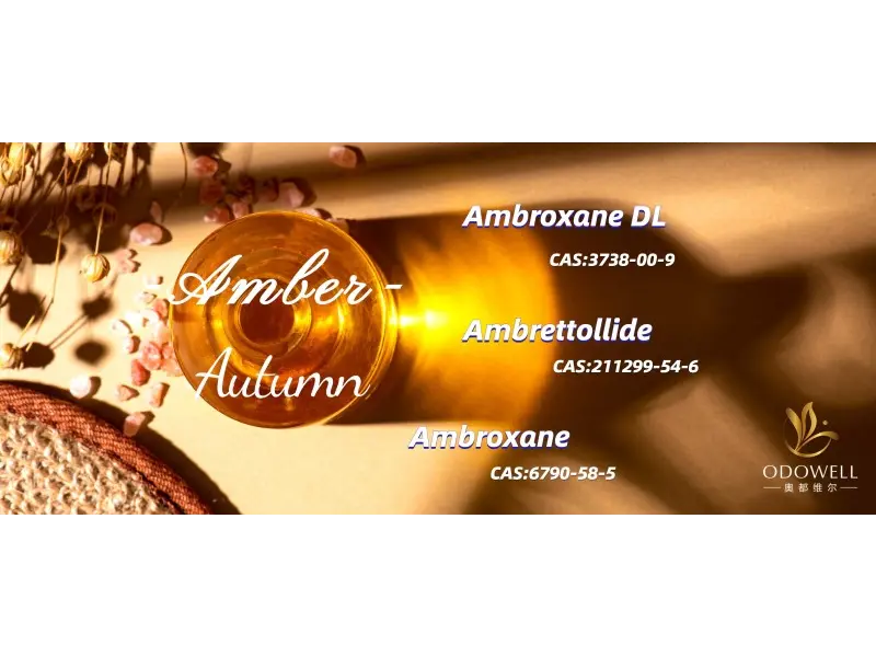 Каковы лучшие гендерно-нейтральные ароматы в 2025 году?