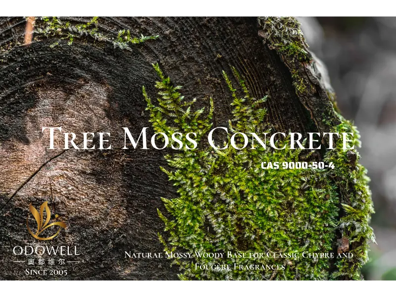 Tree Moss Concrete – натуральная мшисто-древесная база ODOWELL для классических шипровых и фужерных ароматов.