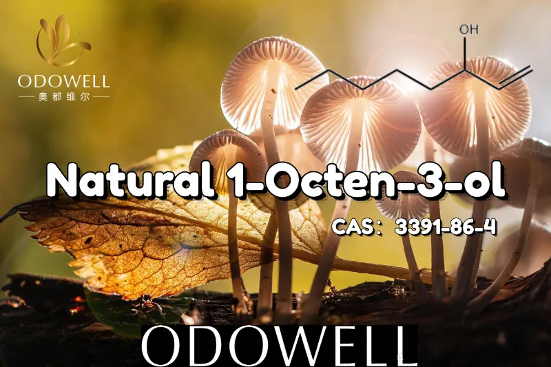 ODOWELL рекомендует натуральный 1-октен-3-ол для продуктов с грибным и землистым вкусом