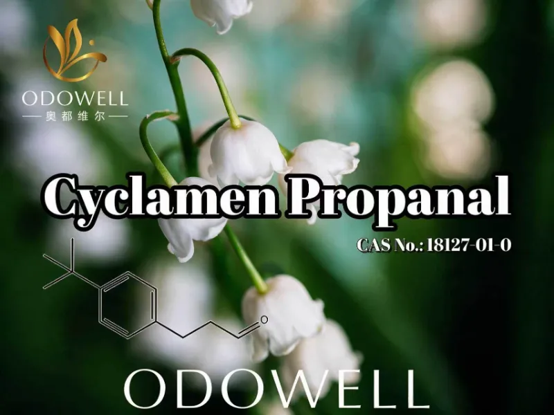 ODOWELL рекомендует цикламен пропаналь для ароматизации свежих цветов и ландышей